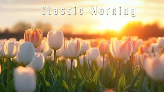 Relaxing Classic Morning Music - Positive Energy - Have The Best Day - Morning Meditation music