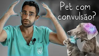 Epilepsia em cães e gatos | Dica Veterinária #65