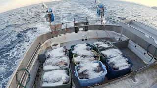 Fresh Market Rockfish - Catching and Cleaning Alaska Rockfish