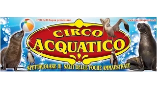 Promo Palermo Circo Acquatico dell' Acqua