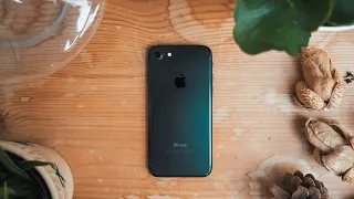 Should you still buy the iPhone 7 in 2020?  A VERY long term Review!