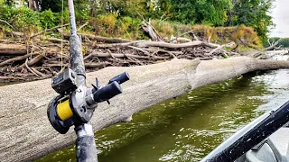 These Brush Piles Were STACKED WITH FISH!! (Kayak Fishing)