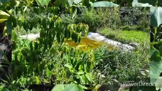 Hortus  felix der glückliche Garten stellt sich vor