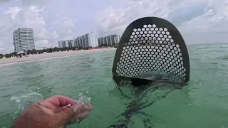 Another day in Paradise underwater metal detecting. Lots of jewelry turned up today