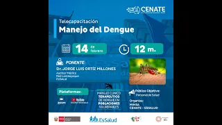 Manejo clínico del Dengue en el primer nivel de atención