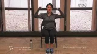 Low-Intensity Seated Cardio Work Out - The Great Slim Down