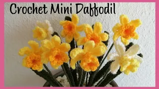 Crochet Mini Daffodils (Smaller Variety of Daffodils) Narcissus