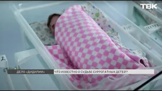 Суд отказал в передаче детей, рожденных красноярскими суррогатными матерями, гражданам Китая