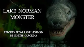 LAKE NORMAN MONSTER -- LAKE NORMAN, NORTH CAROLINA