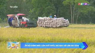 Ấn Độ chính thức cấm xuất khẩu, giá gạo Việt liên tục tăng