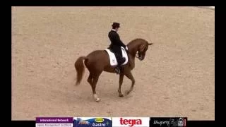 Severo Jurado & Lorenzo - Freestyle 83.3% Aachen 2016