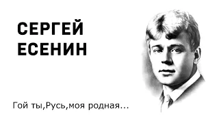 Сергей Есенин Гой ты, Русь, моя родная Учить стихи легко Аудио Стих Слушать Онлайн