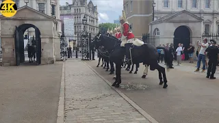 Queen's Horse Needed A Toilet Break During Changing Of The Horse Guard