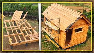 Building a DIY TINY CABIN in 10 DAYS near the SEA | START TO FINISH