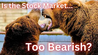 Is the Stock Market Too Bearish?