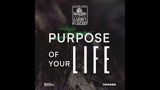 Purpose Of Your LIFE