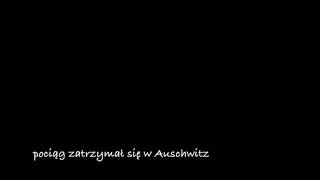 Pociąg zatrzymał się w Auschwitz (2017) - polski film dokumentalny