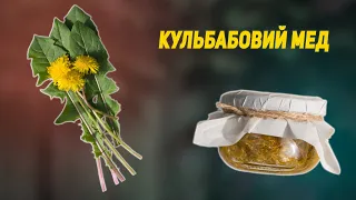 🍯Мед з кульбабою. Корисний мед з кульбаби. Як приготувати МЕД з КУЛЬБАБИ? #українськийютуб #нашсад