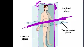 3D Anatomical Planes & Axes of Motion #OMM #OMT #COMLEX #wedabest