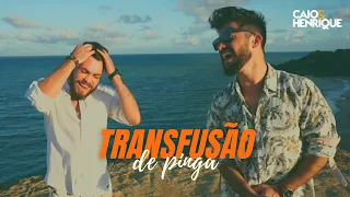 Transfusão De Pinga | Caio e Henrique (Clipe Oficial)