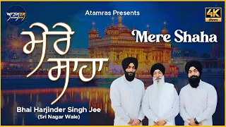 Mere Shaha | Bhai Harjinder Singh Jee Sri Nagar Wale | Atamras | 4K