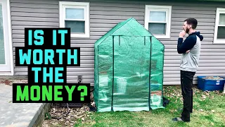 $55 Mini DIY Walk In Greenhouse From Amazon Review After 3 Months, is it worth the money?