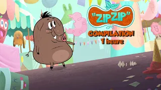 Zip Zip 🐗 *L'invisible Sam* 1H saison 2 - COMPILATION d'épisodes [HD] Dessin animé pour enfants