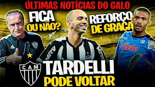 😨 TARDELLI DE VOLTA? 💣 CUCA URGENTE 🔥 REFORÇO DE GRAÇA 🤩 NOVIDADE INCRÍVEL ✅ NOTÍCIAS DO GALO