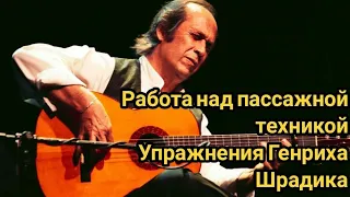 Урок гитары. Работа над пассажной техникой. Упражнения Генриха Шрадика