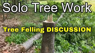 Tree Felling in a Tight Spot EXPLAINED | Arborist Tree Removal