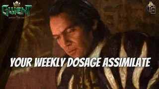 GWENT | More And More Assimilate Weekly Dosage Featuring Double Cross Mirror Match!