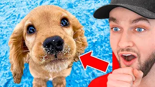 World’s *HARDEST* Try Not To Say AWW Challenge!