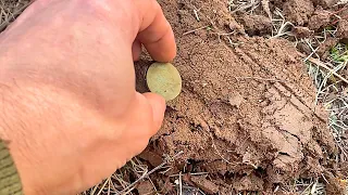 Первая старинная монета в этом сезоне и другие находки.