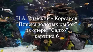 Римский  Корсаков  Пляска золотых рыбок