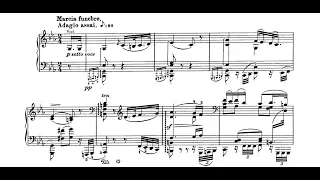 Beethoven-Liszt - Symphony 3, "Eroica" (II. Marcia funebre: Adagio assai) - Cyprien Katsaris Piano