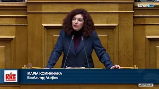 Μ. Κομνηνάκα: Παραβιάζονται αρχές της μυστικότητας, αδιάβλητο της ψήφου και ταυτόχρονη διενέργειας