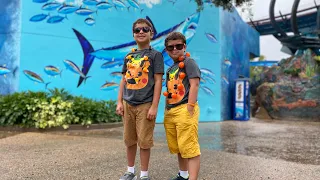 США 🇺🇸и наш поход в Морской мир Орландо Флорида Sea world Orlando Florida