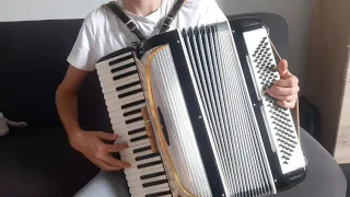 Jarzębina czerwona | Akordeon COVER