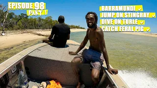 CATCHING BARRAMUNDI, STINGRAY, TURTLE & FERAL PIG