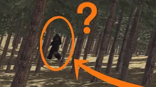 Bigfoot Encounter Colorado - Train Engineer Shares 2023 #bigfoot