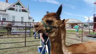 Nebraska Prairie Museum - Fall Festival & 50th Anniversary