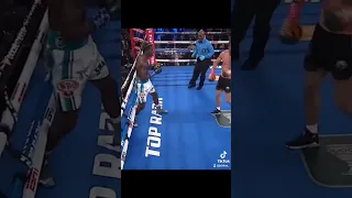 Lomachenko pide a la esquina de su rival que paren la pelea