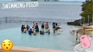 SWIMMING PIGS!! | Great Stirrup Cay, Bahamas