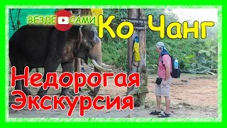 Таиланд. Ко Чанг. Ферма танцующих Слонов. Каучуковые деревья