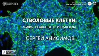 Стволовые клетки: мифы, реальность и надежда. Сергей Анисимов