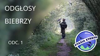 Odgłosy Biebrzy odc. 1