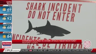 Monterey Bay shark attack victim saved by good Samaritans