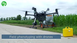 Phenotyping with drones