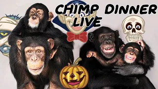 The one and ONLY Chimp Dinner Live | Oct 24th