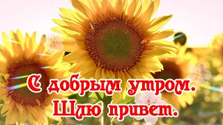 С Добрым Утром.🌺  Шлю Привет! 🌺 Пусть Прольётся Счастья Свет🌺💌